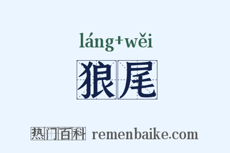 狼尾是什么意思的图片